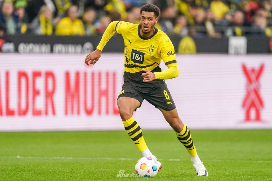 交织的典型 交织的典型